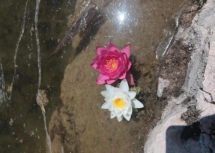 Aparthotel One-room Boutique At Sunrise